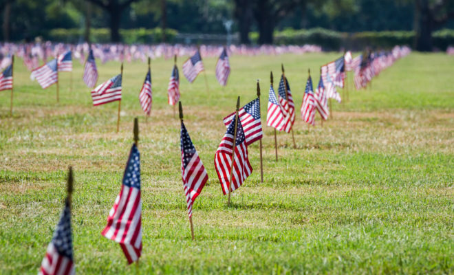 Veterans Day Flags