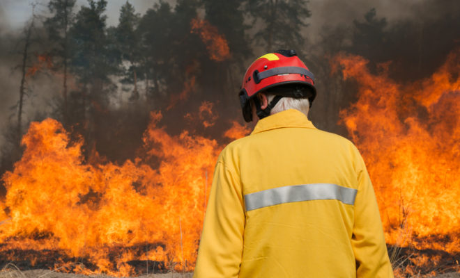 prescribed burning