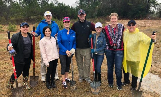 rotary club tree planting the woodlands