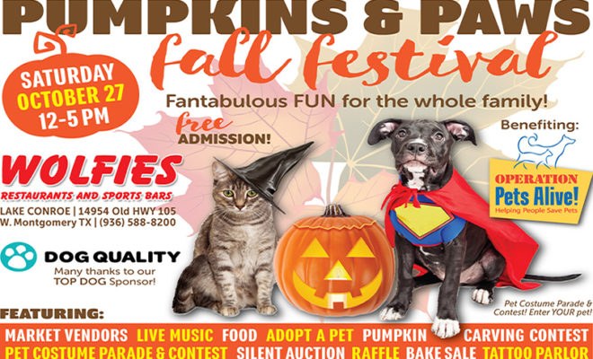 Pumpkins Paws Fall Festival To Benefit Operation Pets Alive - Hello Woodlands