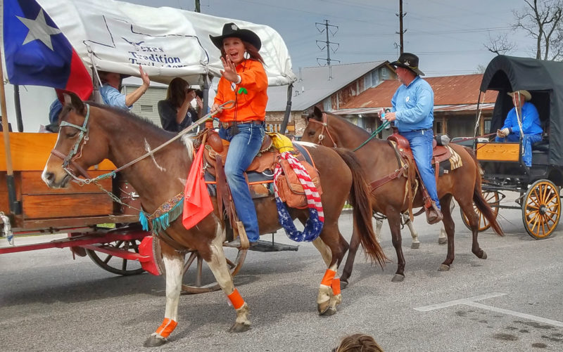 Houston, United States. 19th Oct, 2019. Houston Astros mascot