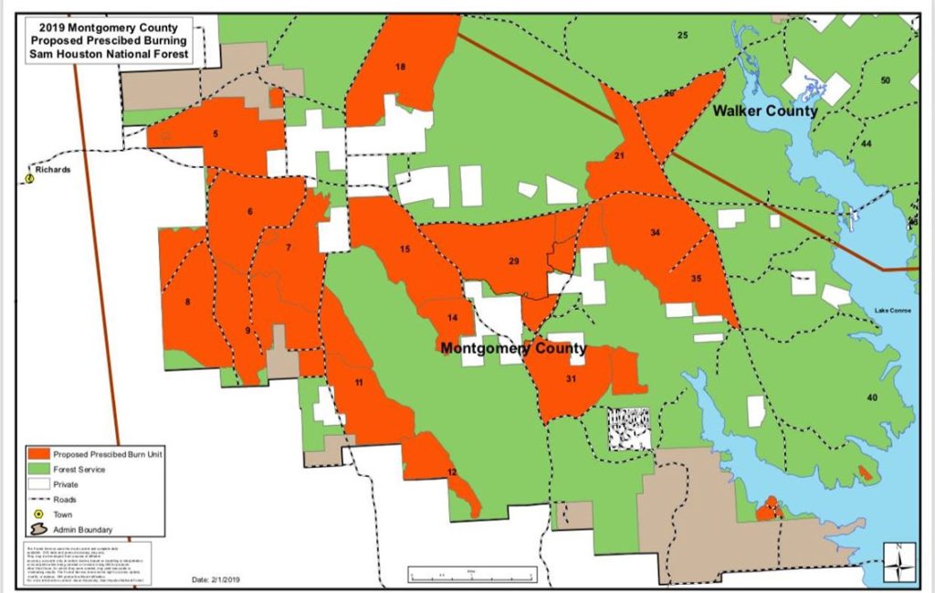 Prescribed Burns Set to Begin Soon in Sam Houston National Forest