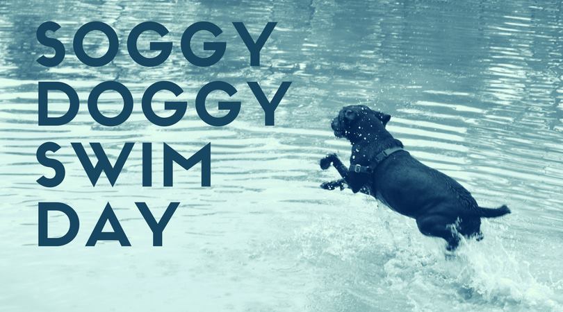 Soggy Doggy Swim 2021 - Fredericksburg SPCA