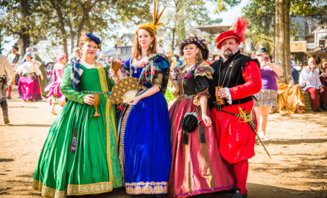 Renaissance store festival 2020