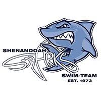 Shenandoah Sharks Logo