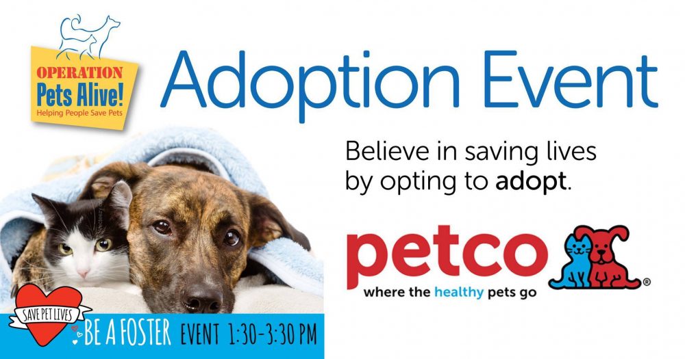 can you adopt dogs at petco