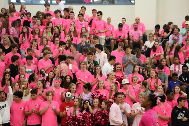 Dragon Volleyball DIG PINK® games support Breast Cancer Research