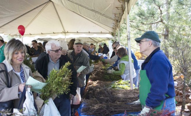 Arbor Day woodlands township