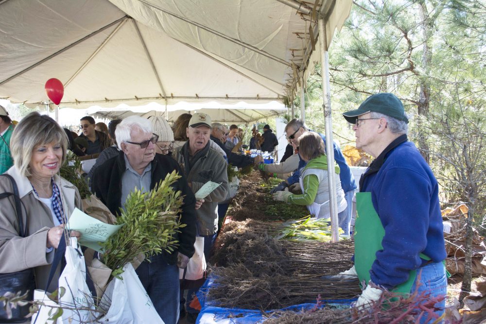 Arbor Day woodlands township