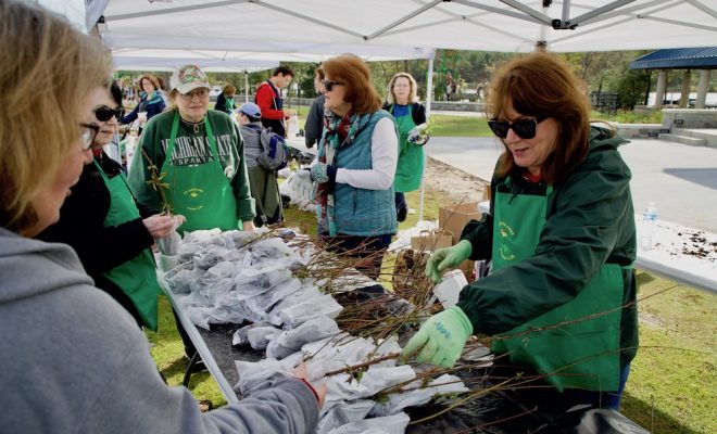 The Woodlands 44th Annual Arbor Day Tree Giveaway 2020