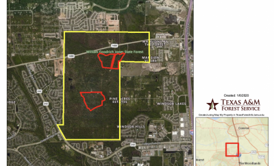 Texas A&M to conduct prescribed burning at Jones State Forest