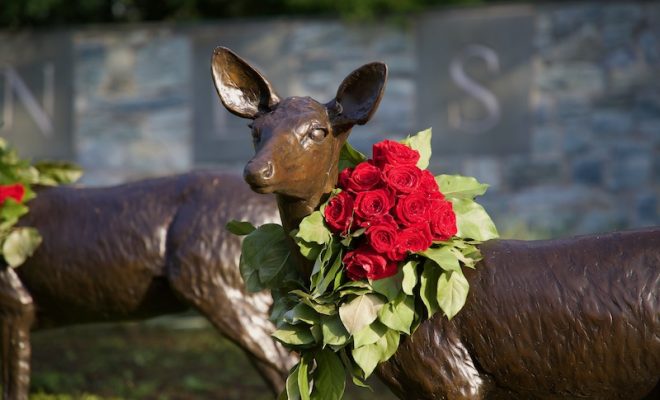 Local Florist spreads joy through public arrangements in The Woodlands