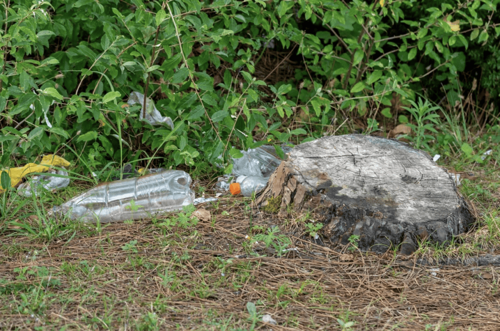 Litter hides in tree lines, breaking down over time, and the smaller