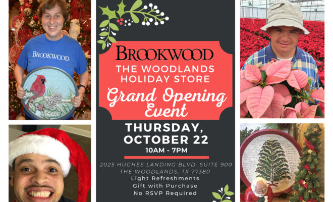 Brookwood Holiday Store Howard Hughes 2020