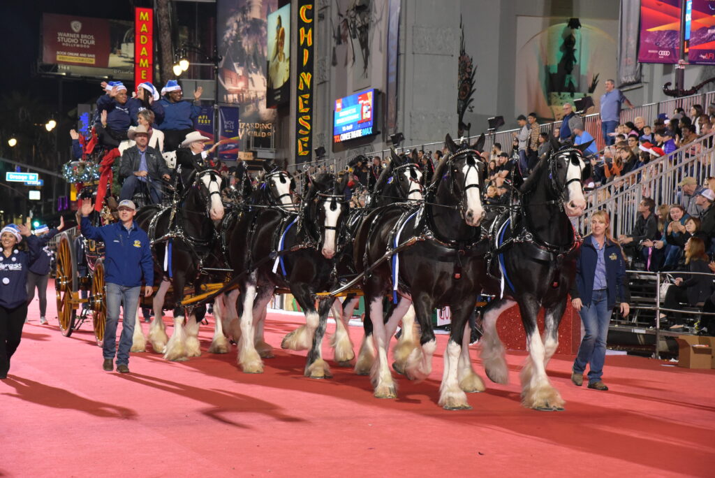 Conroe Christmas on Main Clydedales