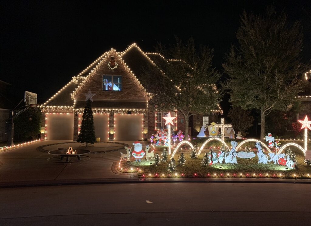 Christmas Lights Decorations of Red Ribbon and Panther on the