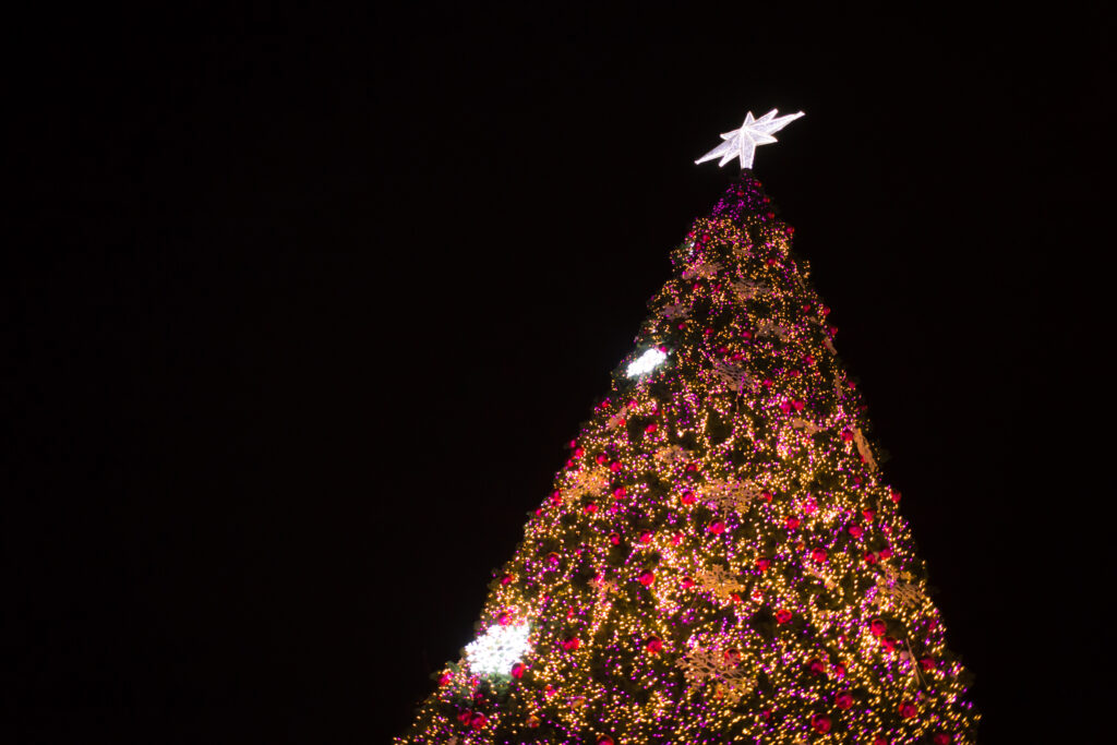 Woodforest Light up the Pines