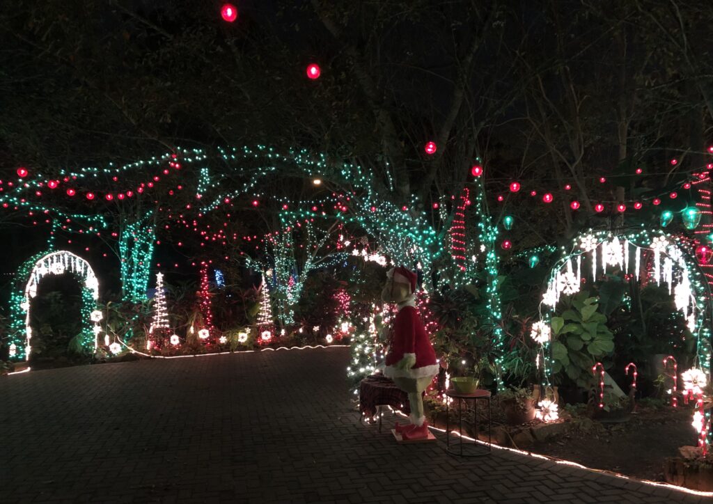 Christmas Lights Decorations of Red Ribbon and Panther on the