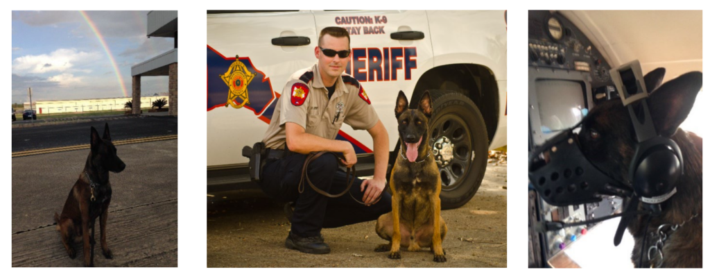 MCTXSheriff Announces Passing of Retired K9