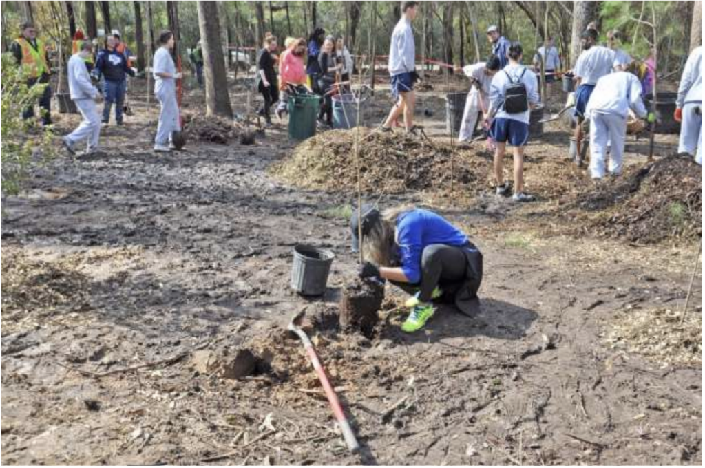 Meadowlake Park The Woodlands Community Tree Planting 2022.