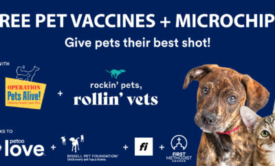 Operation Pets Alive The Woodlands Free Pet Vaccines Microchips First Methodist Conroe 2022 Petco Love