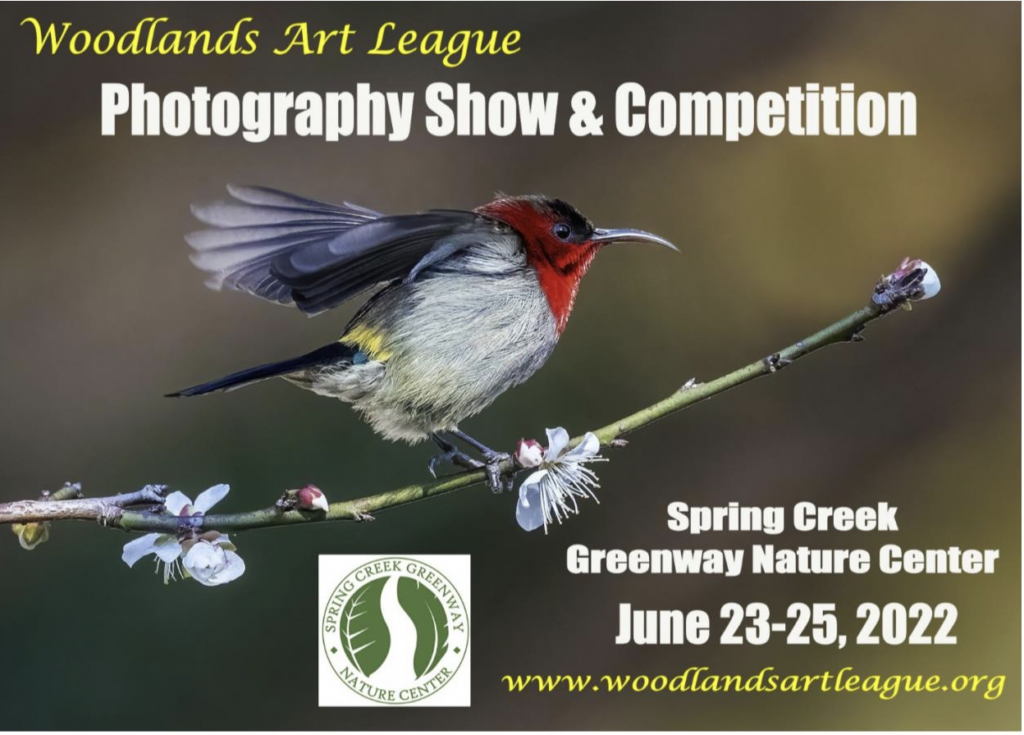 Woodlands Art League Photography Show Competition 2022
