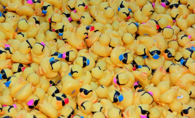 The Ducks Are Back For The 15th Annual Duck Race - Hello Woodlands