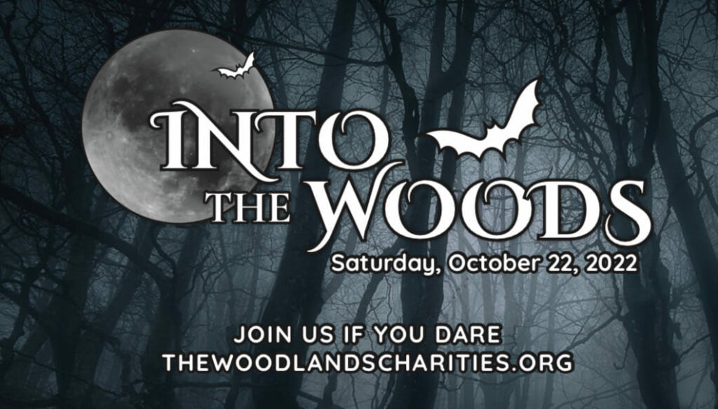 Into The Woods Halloween Party The Woodlands Charities