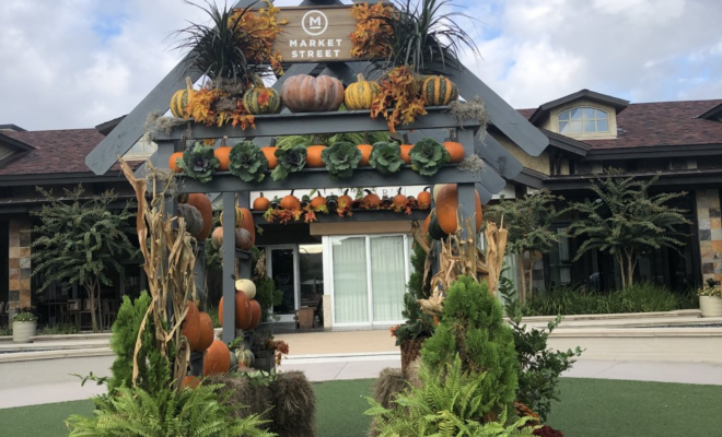 Market Street Fall Photo Pumpkin Backdrop