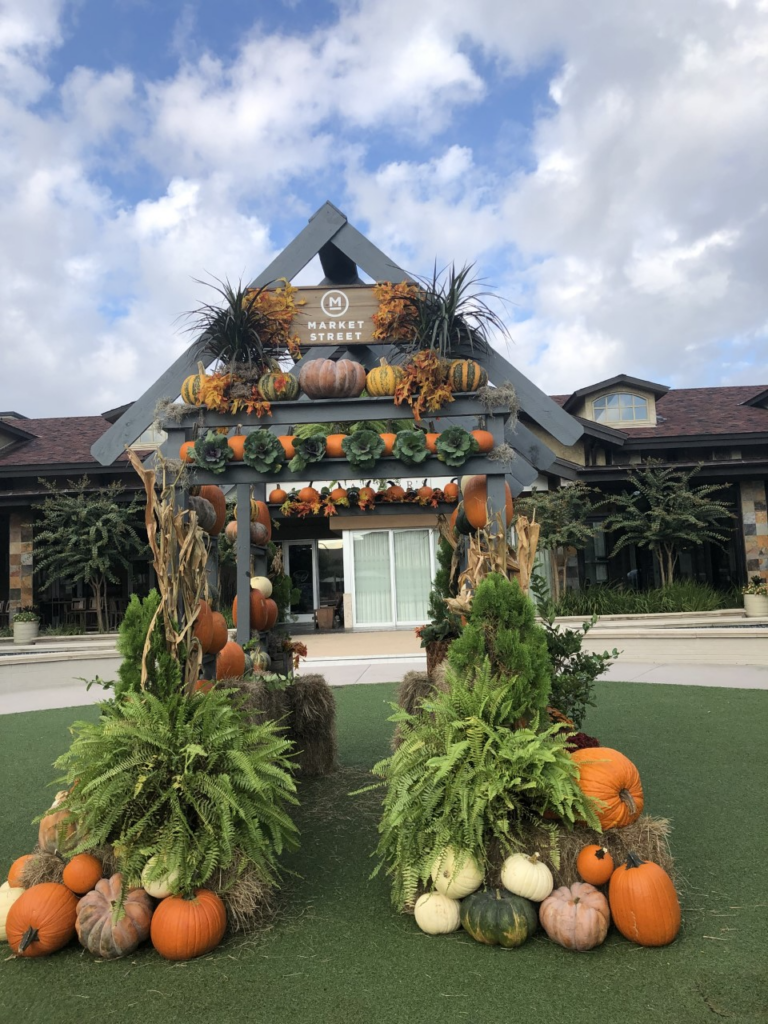 Market Street Fall Photo Pumpkin Backdrop