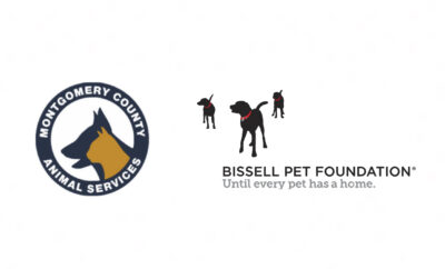 Bissell Pet Foundation Montgomery County Animal Shelter Services Texas Spay Neuter Event