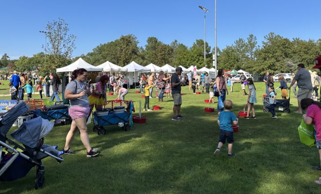 Alden Bridge Village Association Fall Festival 2022