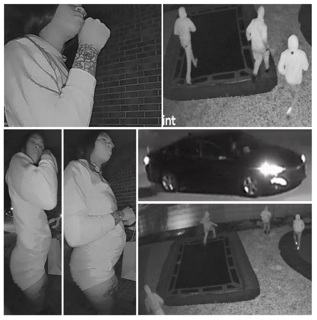  MCTXSheriff Seeks Public’s Help Identifying Burglary Suspects Pretending to be Door Dash 