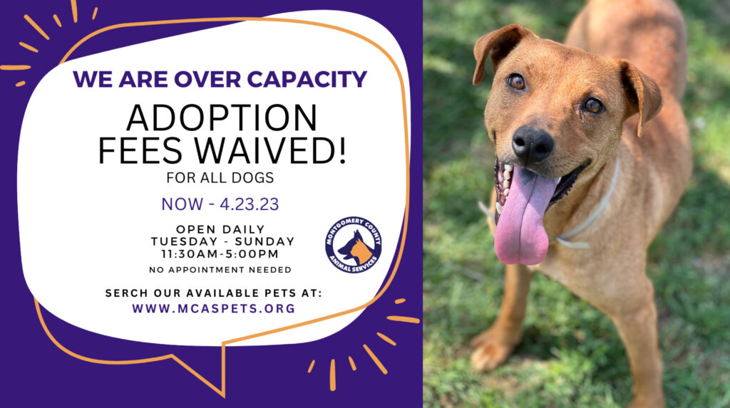 Montgomery County Animal Shelter Adoption Fees Waived 2023 Over Capacity