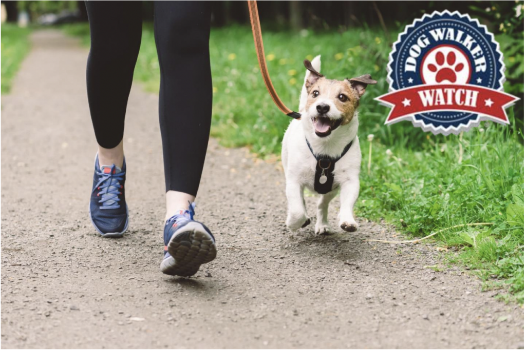 The Woodlands Township Yappy Hour Dog Walker Watch