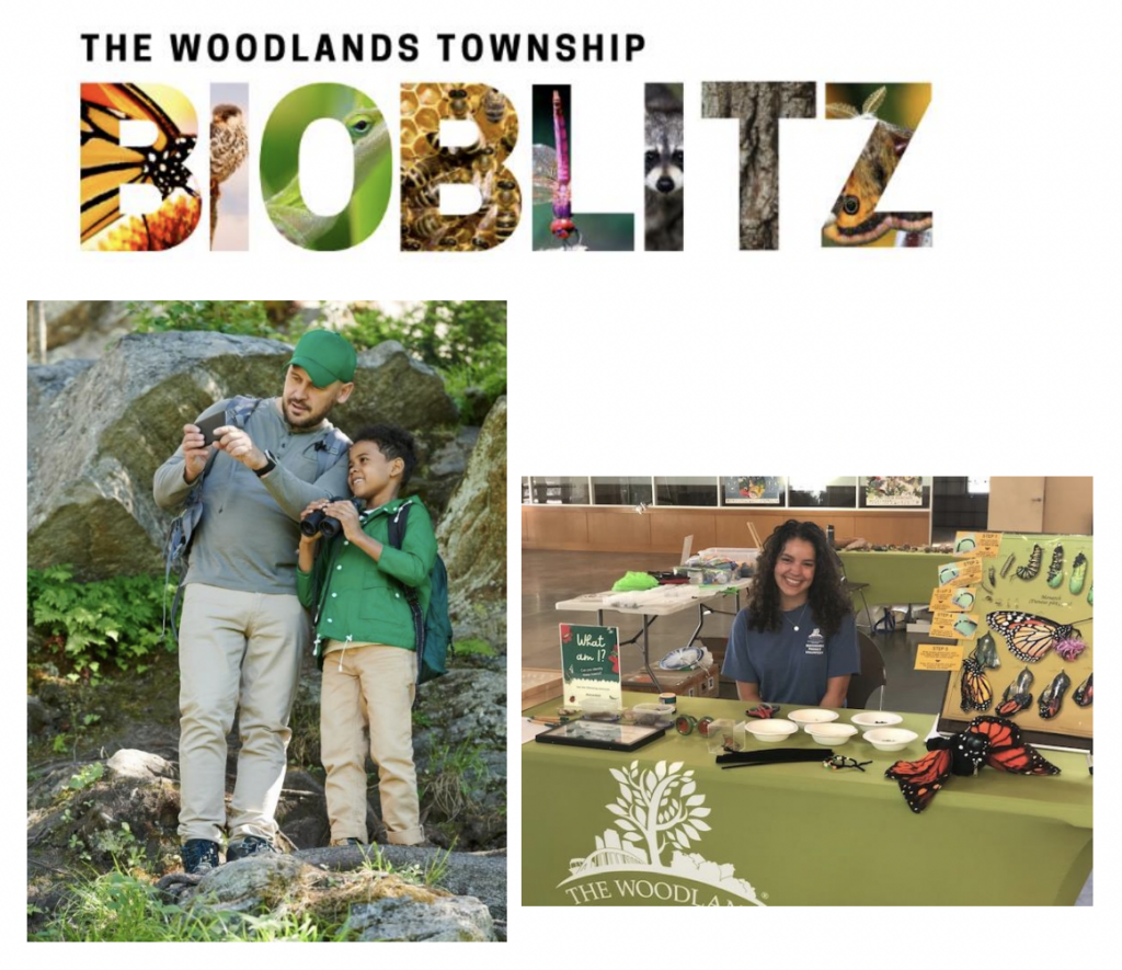 The Woodlands Township BioBlitz