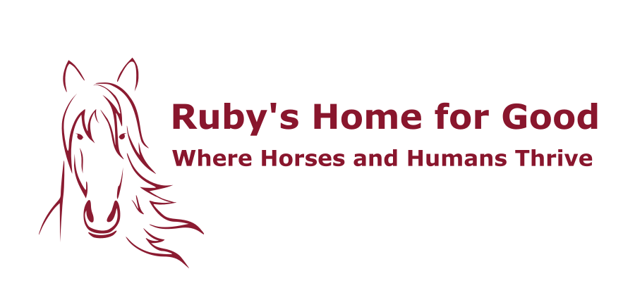 Ruby's Home for Good Montgomery County Texas