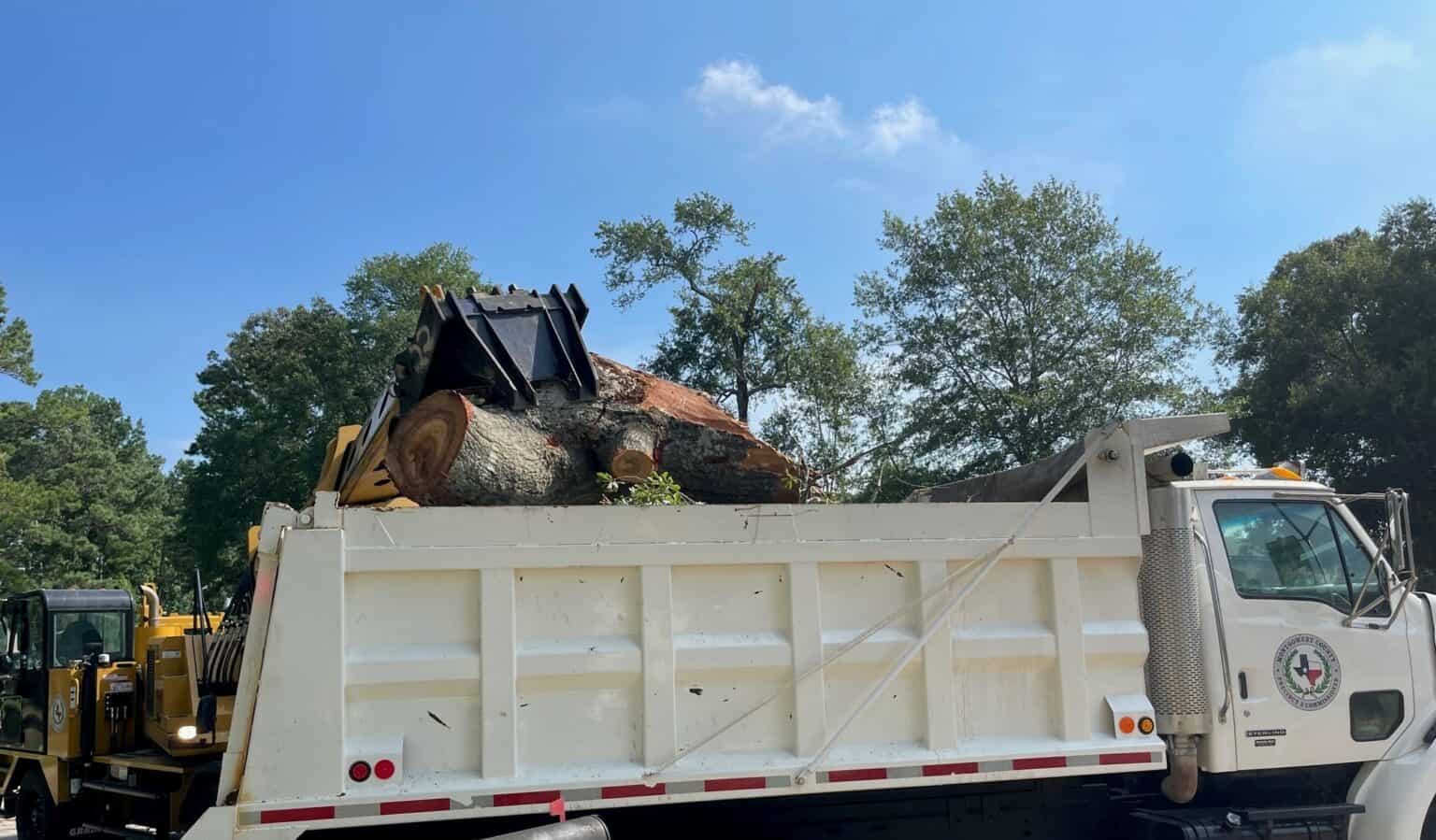 July 9 Deadline for Residents to Place Large Storm Debris in ROW for ...