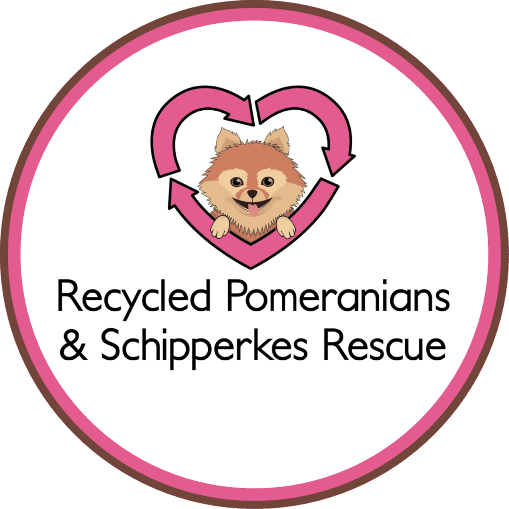 Recycled Poms Rescue Houston