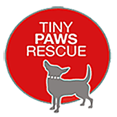 Tiny Paws Rescue