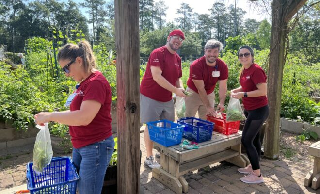 Houston Methodist The Woodlands Hospital Sustainability Project Help Interfaith's Veggie Village