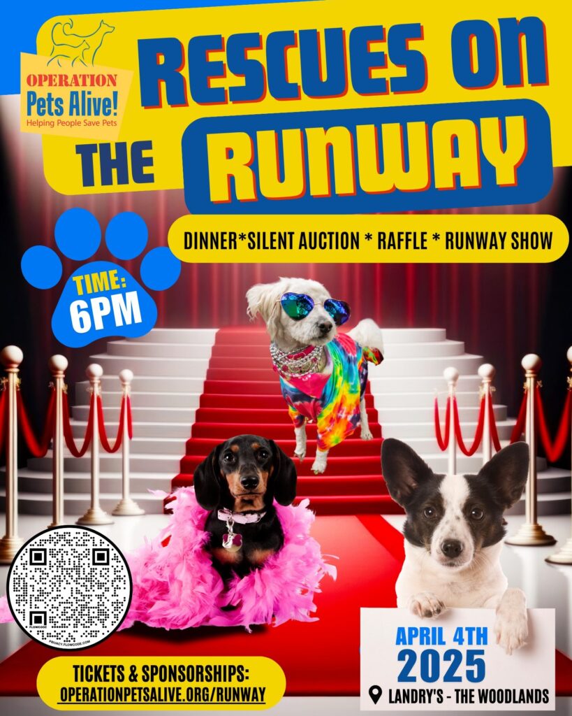 Rescues on the Runway