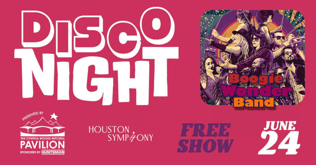 FB Ad 3 – HSO Disco