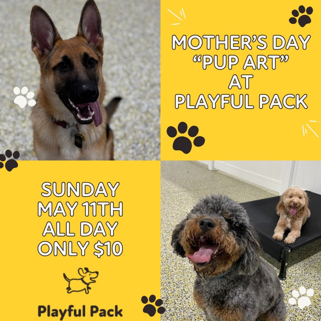 Playful Pack Mother’s Day