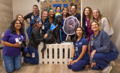 Memorial Hermann TW Staff with Facility Dog Kinson