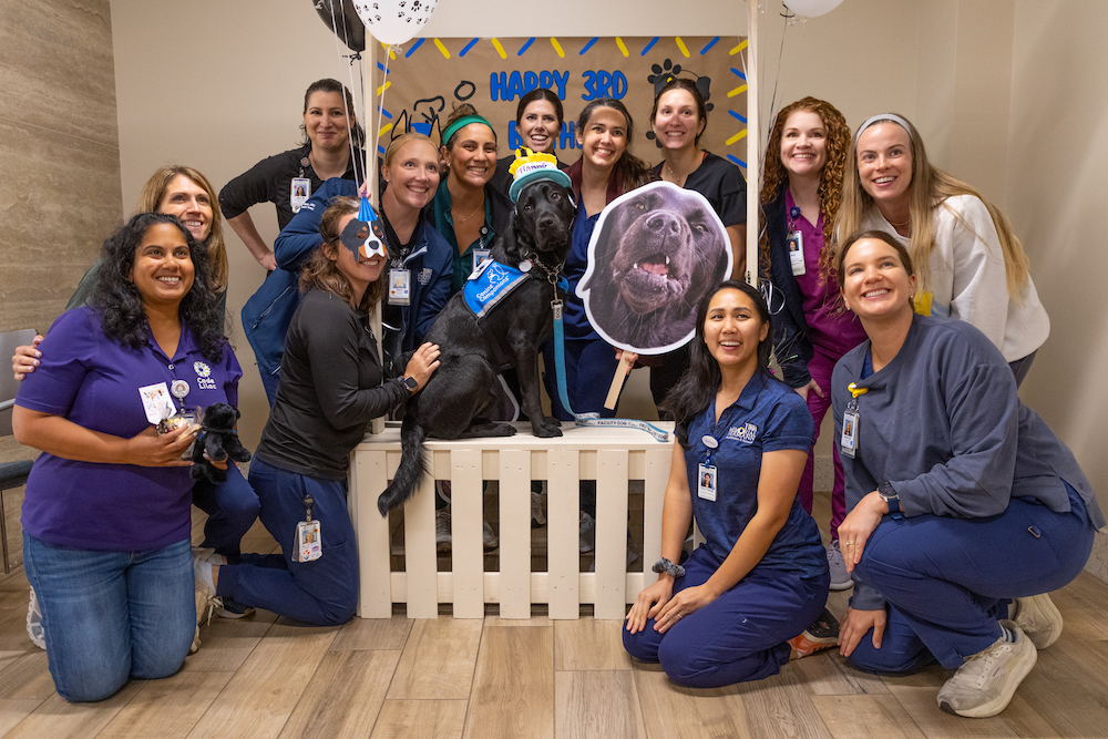 Memorial Hermann TW Staff with Facility Dog Kinson