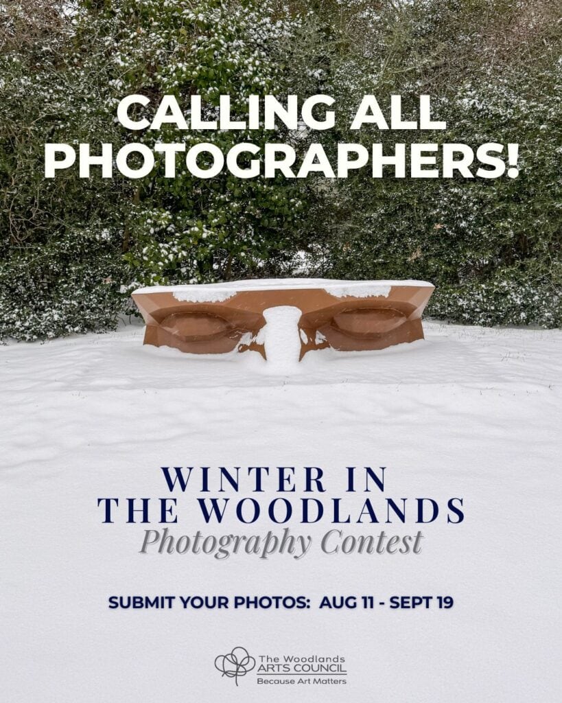 Winter in The Woodlands Photography Contest