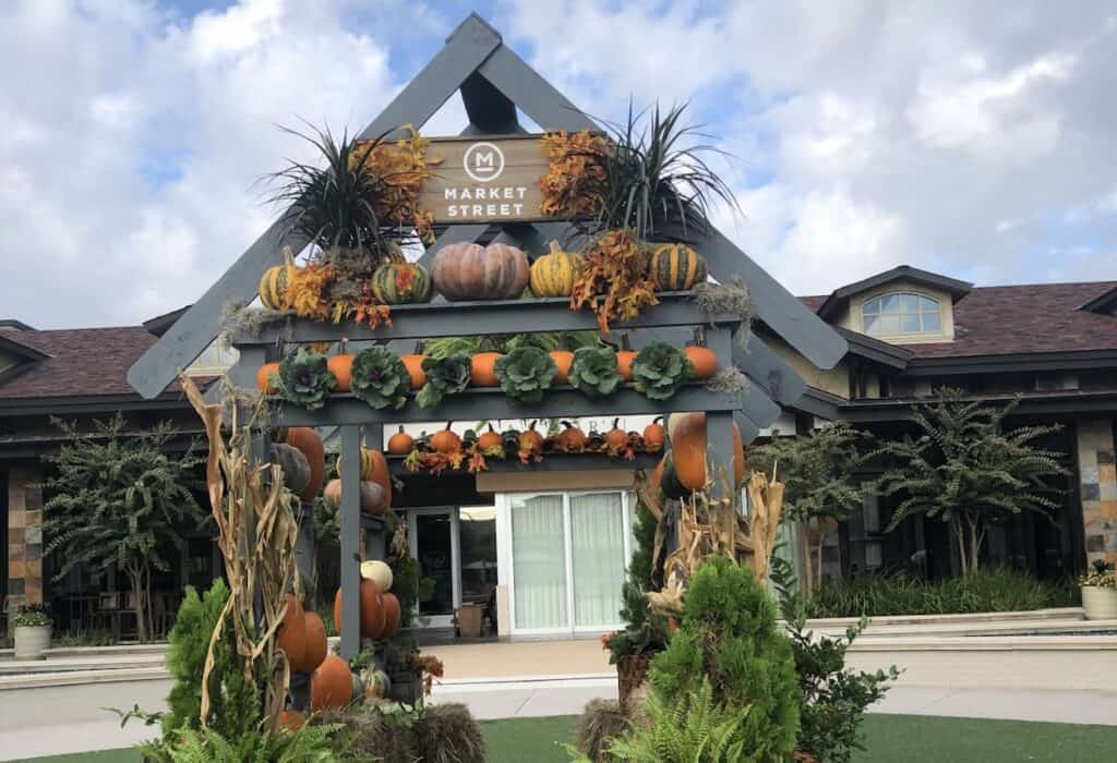 Market Street The Woodlands Pumpkin photo backdrop