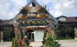 Market Street The Woodlands Pumpkin photo backdrop