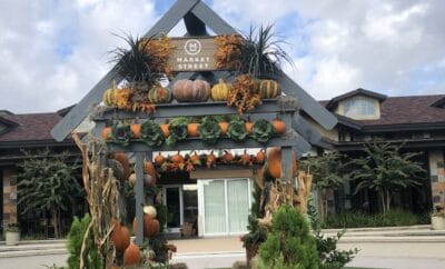 Market Street The Woodlands Pumpkin photo backdrop